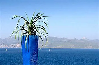 Ionian Blue Nikiana